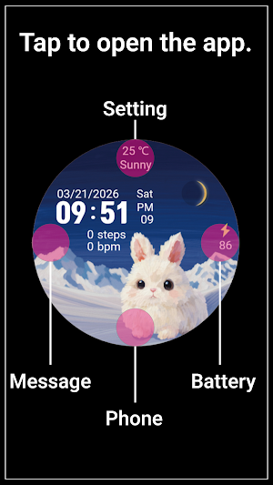 MKW Rabbit 2 - cute watch face Screenshot 3