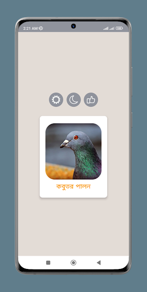 আধুনিক কবুতর পালন পদ্ধতি Screenshot 0