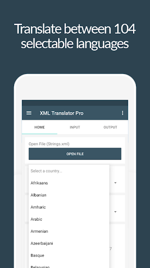 XML Translator Pro Screenshot 1