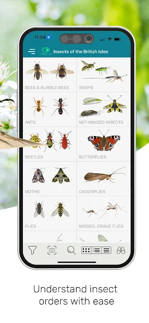 ID UK insects Screenshot 2