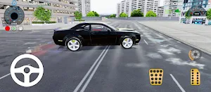 Car Simulator Pro Screenshot 1