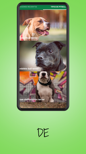 Pitbull Dog Pictures Screenshot 1