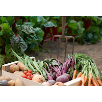 FRUIT N VEG