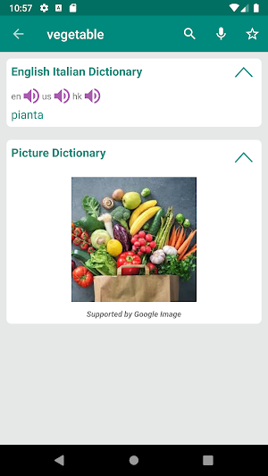 Italian English Dictionary Screenshot 1