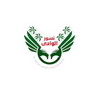 Nosoor Elwady