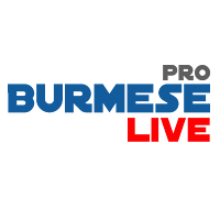 Burmese Live Pro