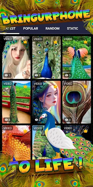 peacock wallpaper Screenshot 1