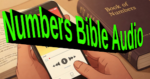 Numbers Bible Audio Offline Screenshot 1