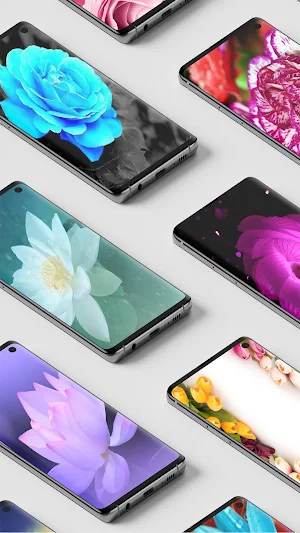 Rose Wallpapers Screenshot 0