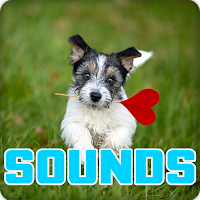 Puppy Sounds Effect