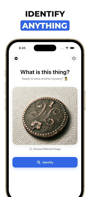 What Is This Thing Screenshot 1