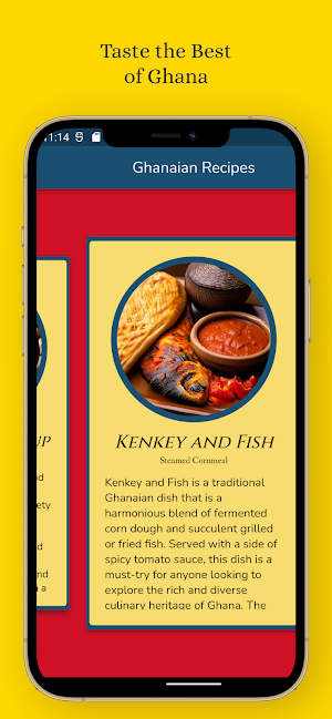 Ghanaian Recipes Screenshot 2