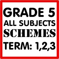 Grade 5 all subjects schemes