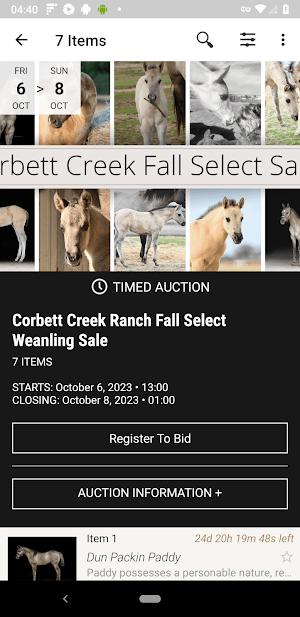 Corbett Creek Ranch Auction Screenshot 1
