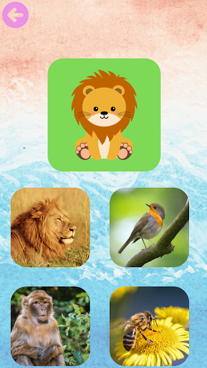 Zooventure Pro Screenshot 3