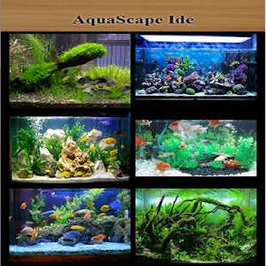 Aquascape Idea Screenshot 0