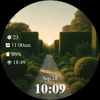 Garden Morning