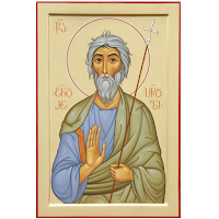 ანდრია სალოსის ცხოვრება