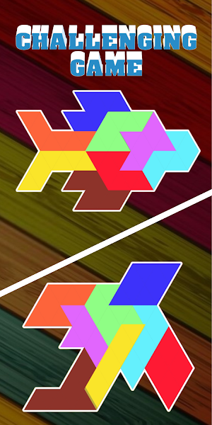 Triangle Block! Free Tangram Simple Puzzle Game Screenshot 2