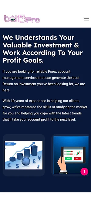 Bott3Pro Screenshot 3