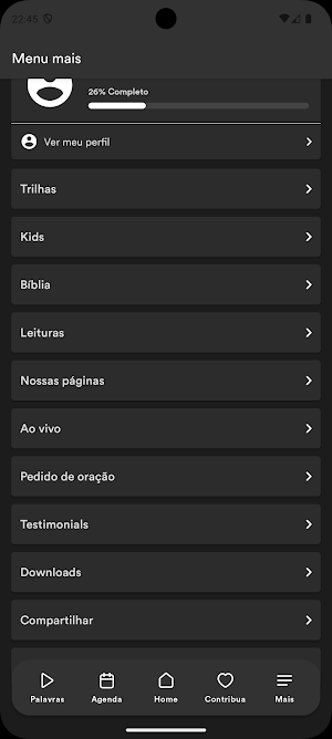 VIDANAPALAVRA Screenshot 2