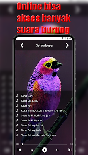 Suara burung masteran Screenshot 1
