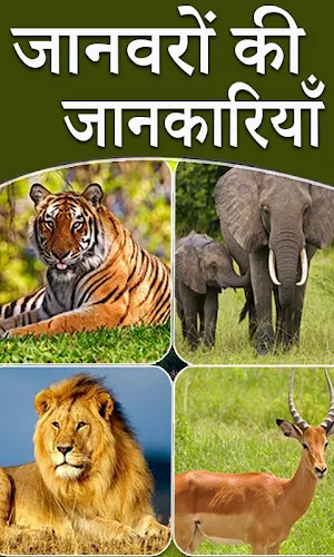 Animal Information in Hindi Screenshot 0