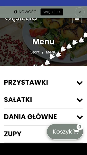 Gęsiego Screenshot 3