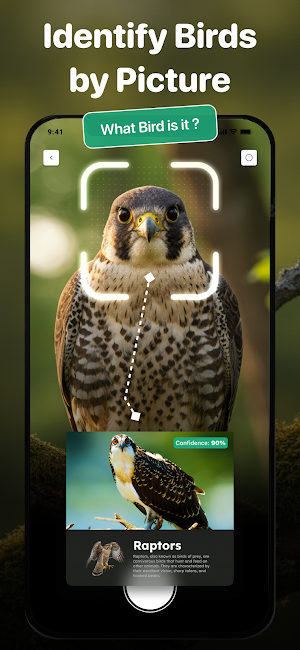 Bird Identifier: Bird Sound ID Screenshot 1