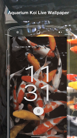 Aquarium Koi Live Wallpaper Screenshot 3