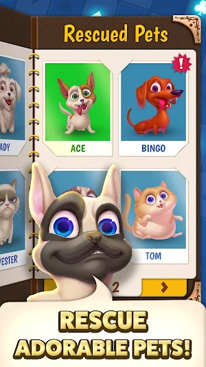 Solitaire Pets Adventure - Free Classic Card Game Screenshot 3