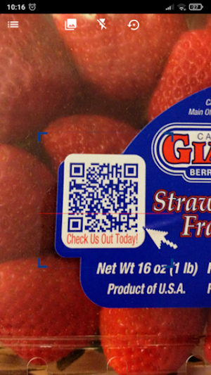 QR & Barcode Scanner Screenshot 1