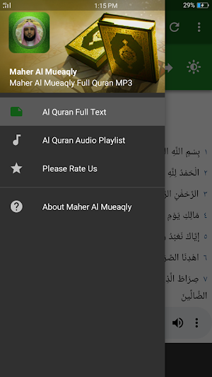 القرآن الكريم - ماهر المعيقلي Screenshot 0