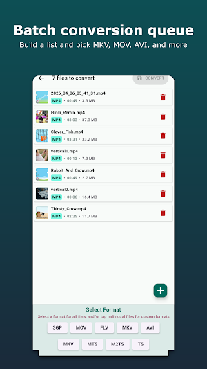 MP4 to MKV Converter Screenshot 2