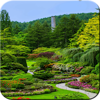 nature wallpaper