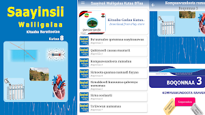 Saayinsii Walii galaa Kutaa 8 Screenshot 2
