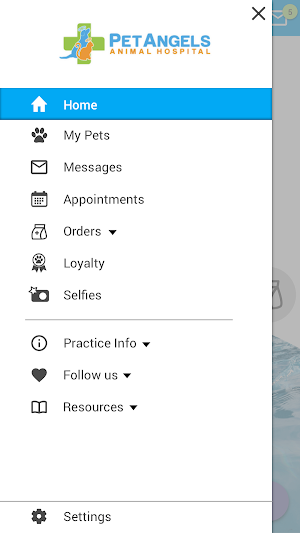Pet Angels Vet Screenshot 1