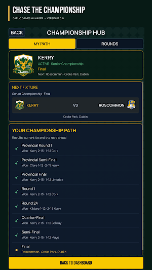 Gaelic Games Manager: Football Screenshot 2