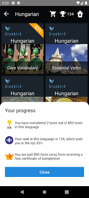 Hungarian Language Tests Screenshot 2