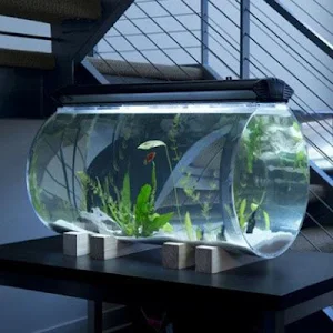 Aquarium Design Screenshot 0