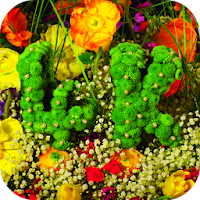 Flowers 4K Video Wallpaper