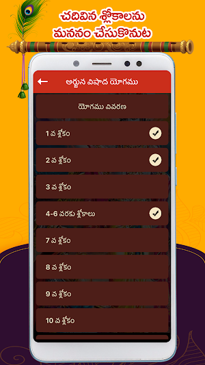 Bhagavad Gita Telugu Screenshot 3