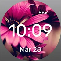 Pink Daisies - Watch Face