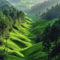 Green Valley