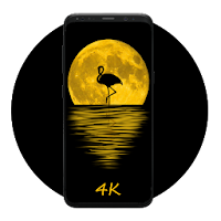 Flamingo Wallpaper
