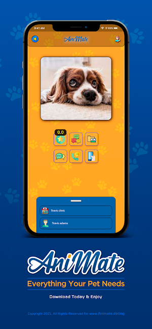 Animate - Pet finder app Screenshot 0