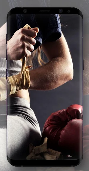 Martial Art Wallpapers Screenshot 0