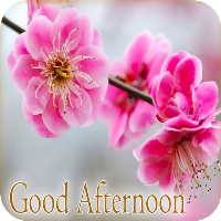 Good Afternoon Images