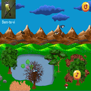 Pássaros Screenshot 3