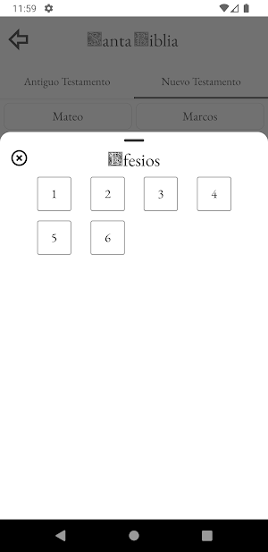 Santa Biblia Straubinger Screenshot 2